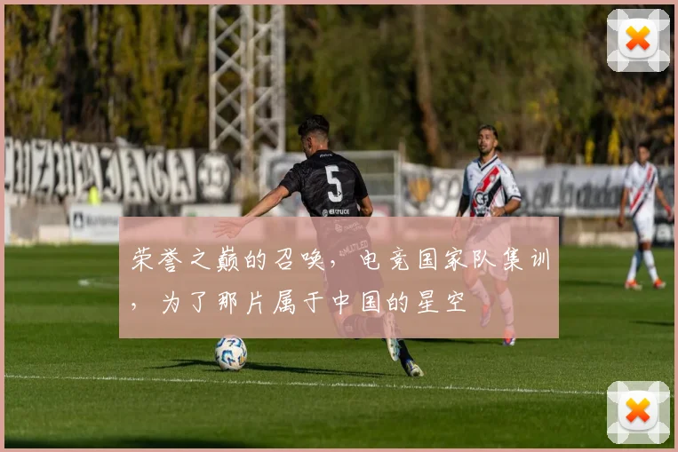 荣誉之巅的召唤,电竞国家队集训,为了那片属于中国的星空