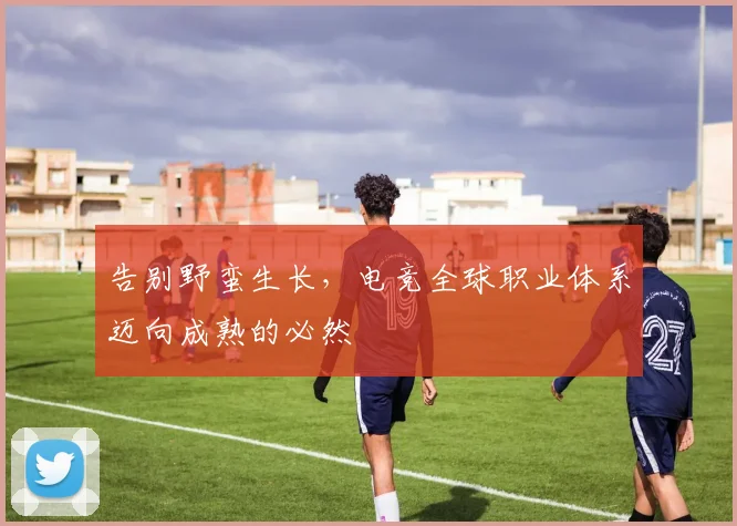 告别野蛮生长,电竞全球职业体系迈向成熟的必然